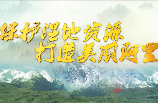 阿里湿地保；ば